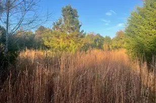 125 Karen Dr, McDonough, GA 30252 - Photo 12