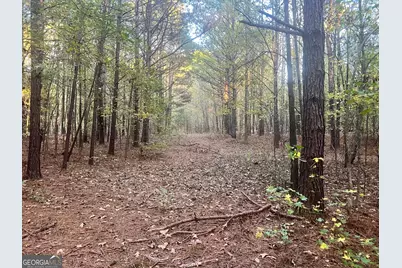 125 Karen Drive, McDonough, GA 30252 - Photo 22