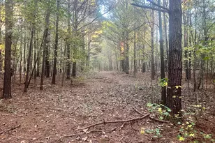 125 Karen Dr, McDonough, GA 30252 - Photo 22