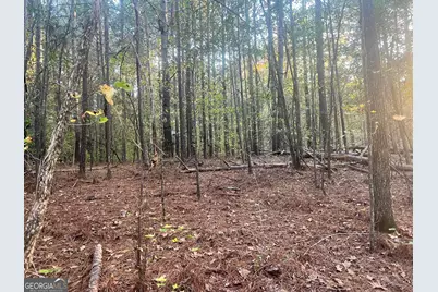 125 Karen Drive, McDonough, GA 30252 - Photo 26