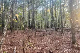 125 Karen Dr, McDonough, GA 30252 - Photo 26