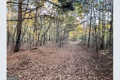 125 Karen Drive, McDonough, GA 30252 - Photo 46