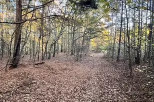 125 Karen Dr, McDonough, GA 30252 - Photo 46