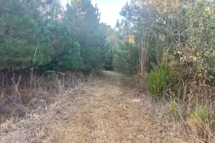 125 Karen Dr, McDonough, GA 30252 - Photo 16