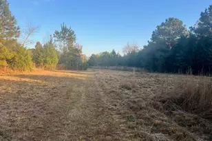 125 Karen Dr, McDonough, GA 30252 - Photo 14