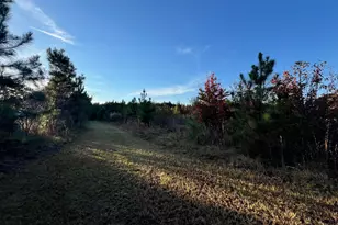 125 Karen Dr, McDonough, GA 30252 - Photo 4