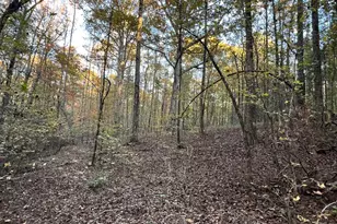 125 Karen Dr, McDonough, GA 30252 - Photo 34