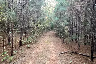 125 Karen Dr, McDonough, GA 30252 - Photo 44