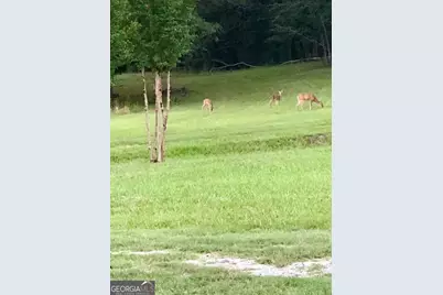 1044 Sardis Road, Rayle, GA 30660 - Photo 62