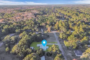 132 Brandi Ln, Guyton, GA 31312 - Photo 98