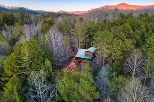 239 Ernest Alta Circle, Blue Ridge, GA 30513 - Photo 4