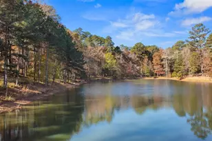 1800 Osprey Poynte, Greensboro, GA 30642 - Photo 6