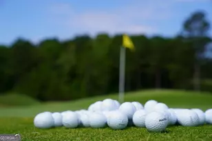 1800 Osprey Poynte, Greensboro, GA 30642 - Photo 74