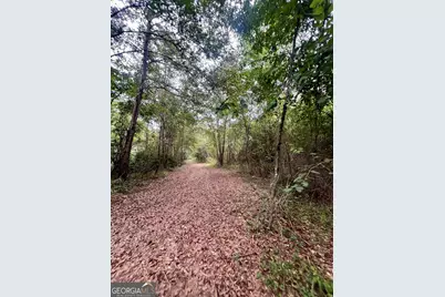 0 McCarty Dodd Road, Colbert, GA 30628 - Photo 4