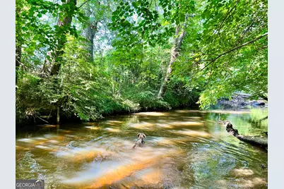 0 McCarty Dodd Road, Colbert, GA 30628 - Photo 6