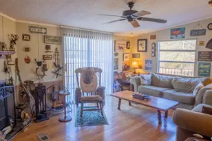 2717 Mount Pilgrim Rd, Greenville, GA 30222 - Photo 16