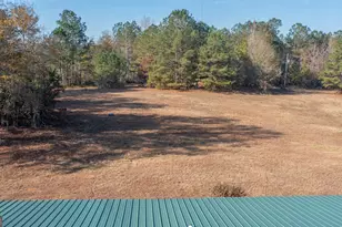 2717 Mount Pilgrim Rd, Greenville, GA 30222 - Photo 50