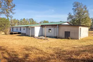 2717 Mount Pilgrim Rd, Greenville, GA 30222 - Photo 40