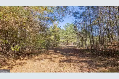 2717 Mount Pilgrim Road, Greenville, GA 30222 - Photo 54