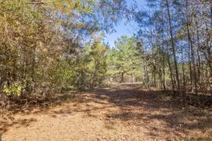 2717 Mount Pilgrim Rd, Greenville, GA 30222 - Photo 54