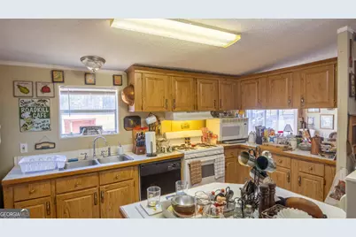 2717 Mount Pilgrim Road, Greenville, GA 30222 - Photo 12