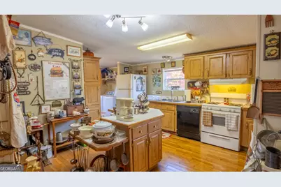 2717 Mount Pilgrim Road, Greenville, GA 30222 - Photo 10