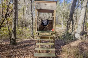 2717 Mount Pilgrim Rd, Greenville, GA 30222 - Photo 60