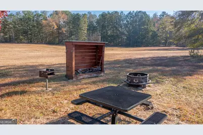 2717 Mount Pilgrim Road, Greenville, GA 30222 - Photo 42