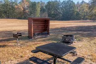 2717 Mount Pilgrim Rd, Greenville, GA 30222 - Photo 42