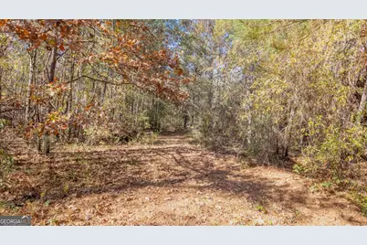 2717 Mount Pilgrim Road, Greenville, GA 30222 - Photo 56