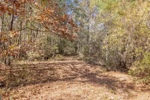 2717 Mount Pilgrim Rd, Greenville, GA 30222 - Photo 56