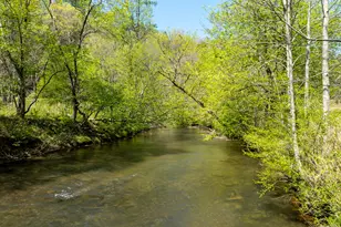 200 Lookiba Ln, Ellijay, GA 30540 - Photo 50