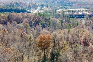 0 Auraria Rd, Dawsonville, GA 30534 - Photo 1