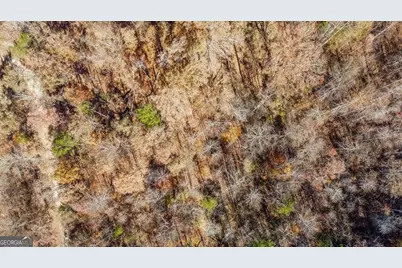 0 Auraria Road, Dawsonville, GA 30534 - Photo 16