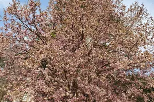 25 Bromack Dr SE, Atlanta, GA 30315 - Photo 8