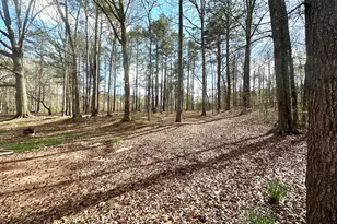 1836 Pinecrest Dr, Griffin, GA 30223 - Photo 60
