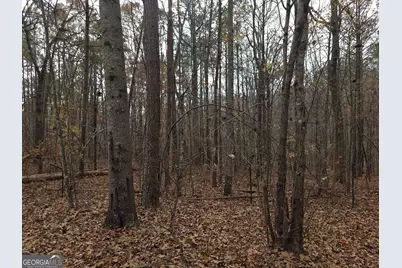 650 Wildcat Road, Buchanan, GA 30113 - Photo 24