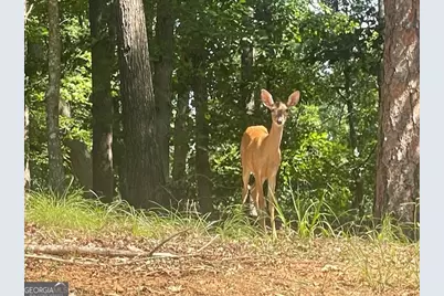 329 Greenleaf Drive, Lavonia, GA 30553 - Photo 46