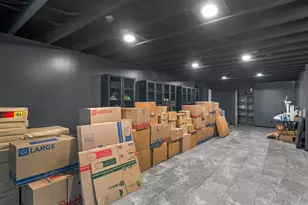 317 Maddi Grace Ct, Locust Grove, GA 30248 - Photo 42