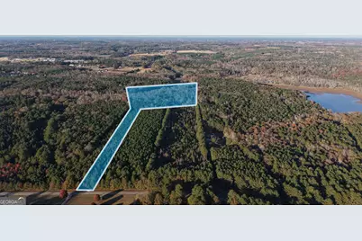 Lot #1 S Hampton Annex, Hampton, GA 30228 - Photo 4