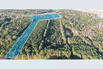 Lot #1 S Hampton Annex, Hampton, GA 30228 - Photo 2