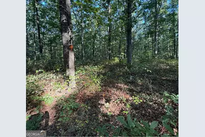 0 Turkey Court #LOT 42 &amp; 46, Waco, GA 30182 - Photo 8