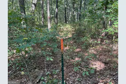 0 Turkey Court #LOT 42 &amp; 46, Waco, GA 30182 - Photo 6