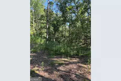 0 Turkey Court #LOT 42 &amp; 46, Waco, GA 30182 - Photo 4