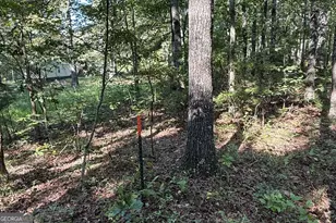 0 Turkey Ct, Waco, GA 30182 - Photo 1