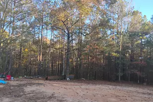 703 Central High Rd, Carrollton, GA 30116 - Photo 4