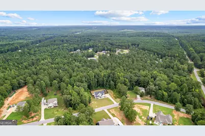 120 Delta Downs Court, Hogansville, GA 30230 - Photo 2