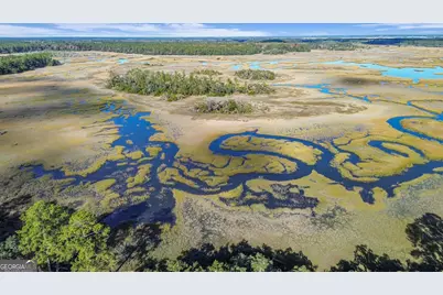 1261 Otter Slide Loop NE, Townsend, GA 31331 - Photo 1