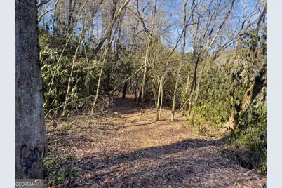 517 Ridge Road, Blue Ridge, GA 30513 - Photo 52