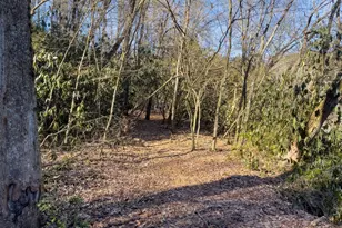 517 Ridge Rd, Blue Ridge, GA 30513 - Photo 52